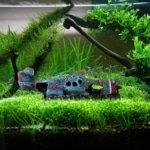 811urGV3akL._AC_SX679