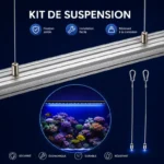 Lumiere-Bleue-Aquarium-poissons