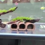 S26f942ed79ce4799ba599bbae49bdb2