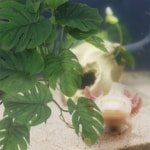 S4459a3d2ebdb484085296e27d23fd56