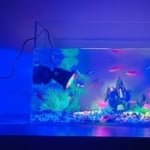 Sf73180a9dcc44ebaab20dd8762a5689 (1)