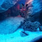 a8aaccgc8cacb7bb8gacgdjebddeiabc