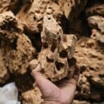 Pierres-Naturelles-Microporeuses (1)