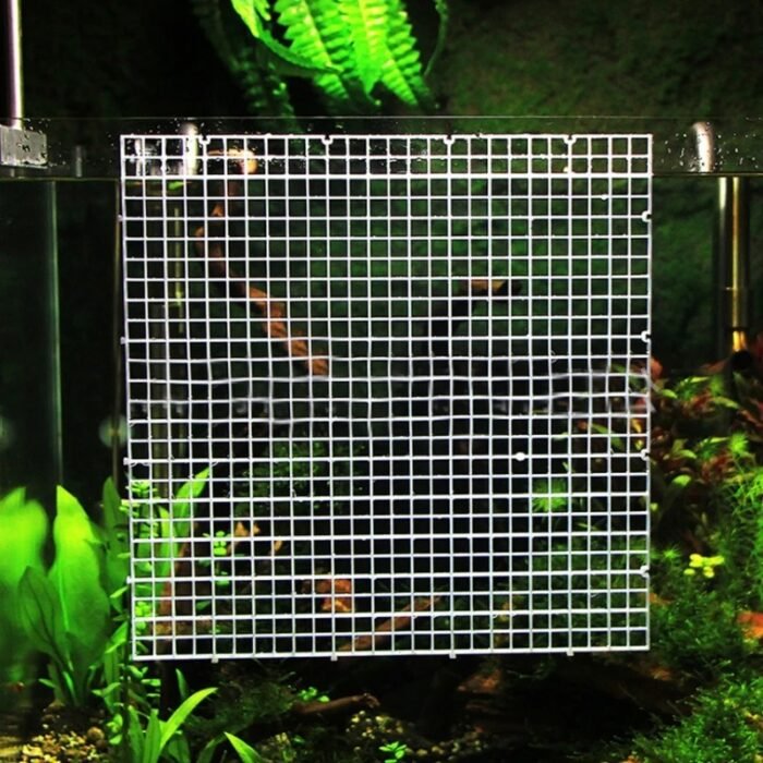 Plateau-diviseur-d-aquarium-en-p (1)