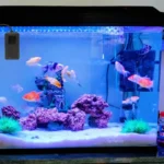 minuteur-luniere-aquarium-noir