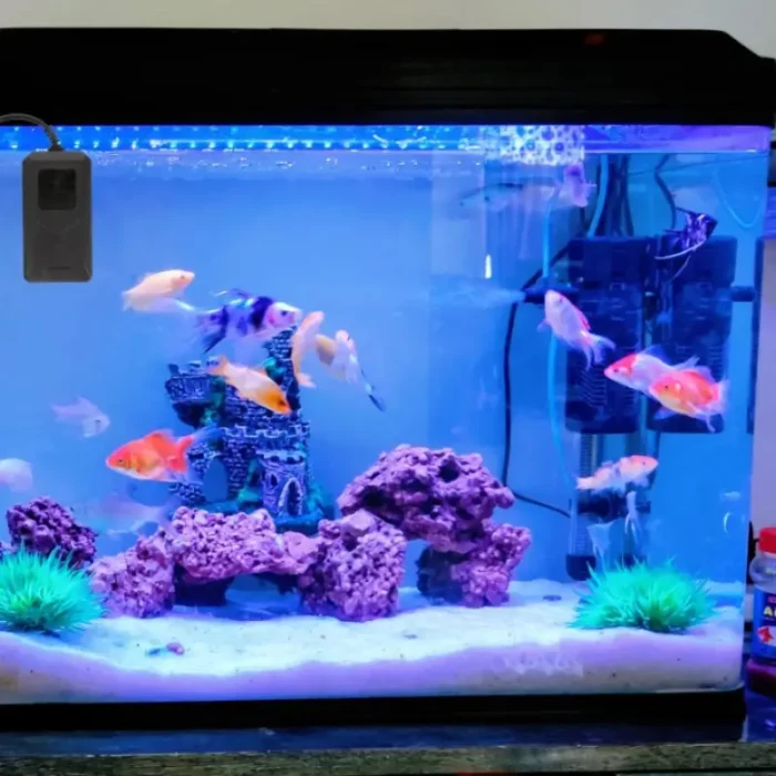 minuteur-luniere-aquarium-noir