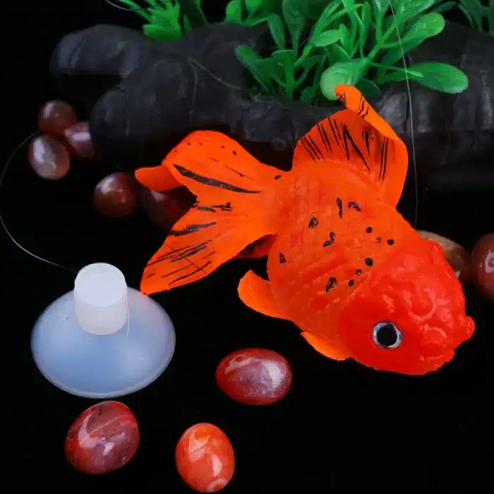 Deco aquarium poisson rouge 2