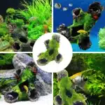 decor resine pour aquarium 4