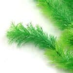 Grande plante artificielle pour aquarium