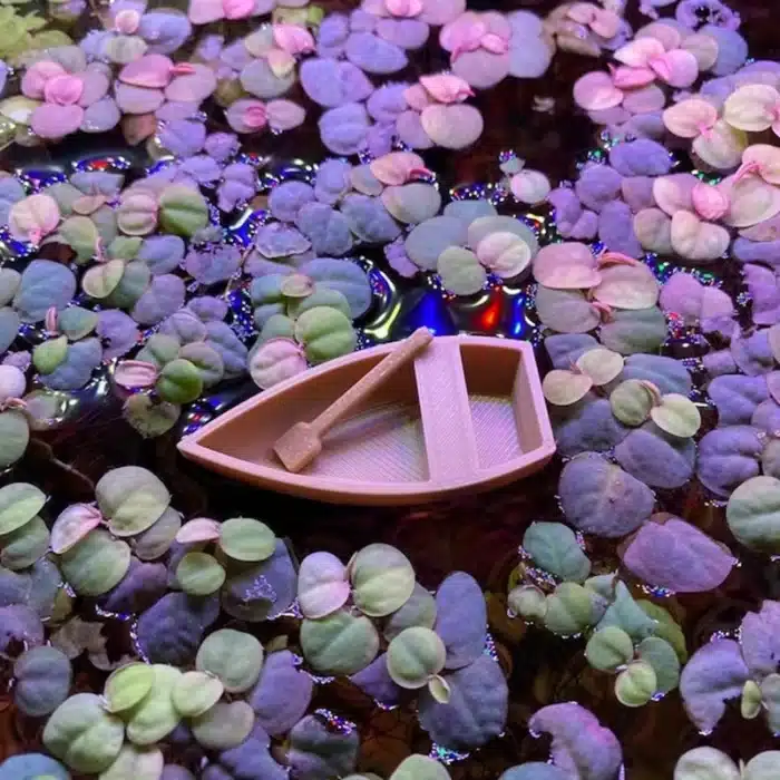 Mini bateau à rames pour aquarium 6