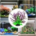 Coraux artificiels aquarium