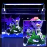 Decor resine pour aquarium fee