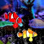 Faux-poisson-clown-Lumineux-aquarium