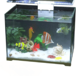 faux poisson clown aquarium