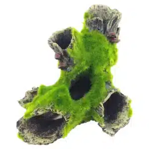 Tronc d'arbre aquarium 1