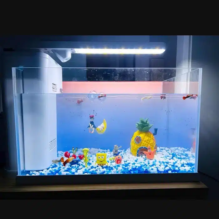 Galet blanc pour aquarium 5