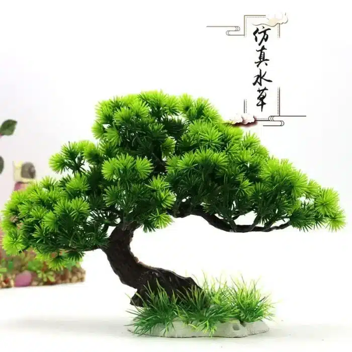 Arbre bonsai aquarium 1