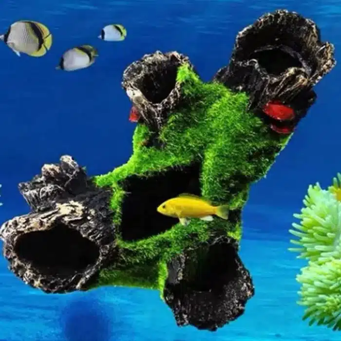 Tronc d'arbre aquarium 5