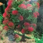 Decoration aquarium arbre
