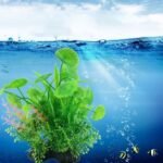 Aquarium fausse plante mere