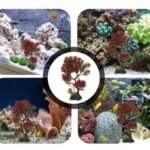 Decoration aquarium arbre 30 cm