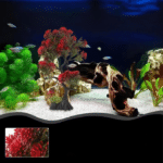 Decoration aquarium arbre fond