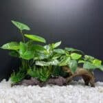 Plantes artificielles aquarium en soie eau