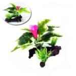 Plantes artificielles aquarium en soie rose