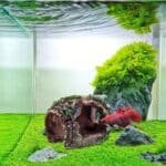 Tonneau aquarium eau