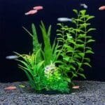 plante aquarium en plastique verte avec fleur