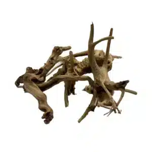 racine bois aquarium 1