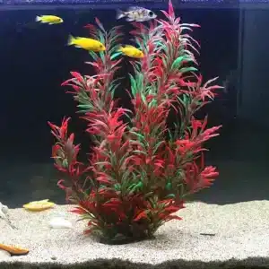 plante artificielle pour aquarium Rotala Rotundifolia 1