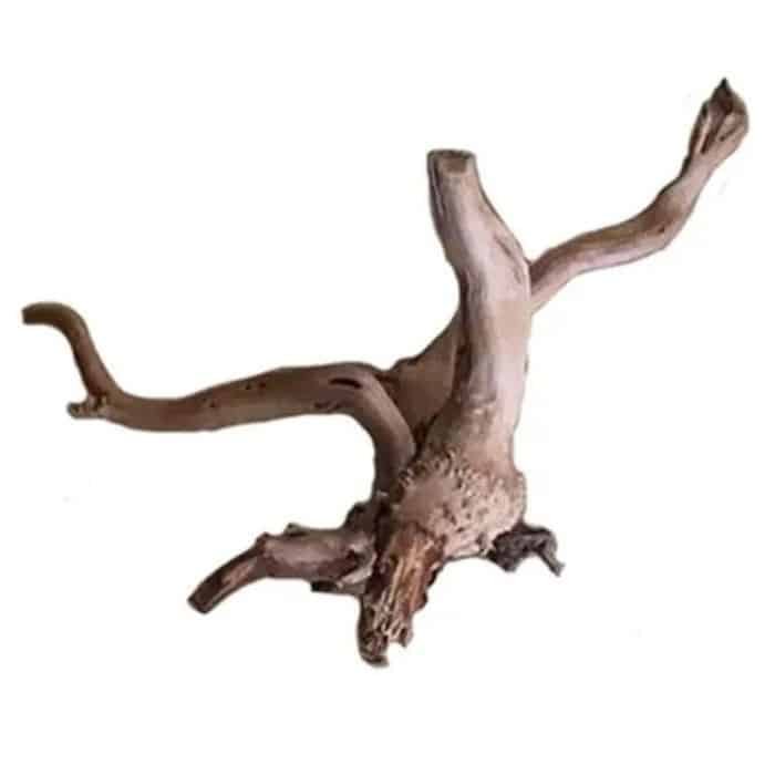 Racine naturelle pour aquarium en bois