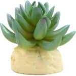 Faux-cactus-aquarium-decoration-Exotique