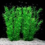 Grande-Plante-Artificielle-Aquarium-50-cm-Feuillage-Tropical-
