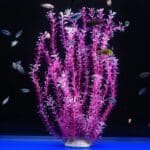 Plante Artificielle Aquarium 50 cm rose
