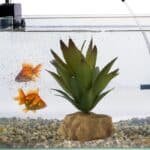 Plante-aquarium-artificielle-plastique