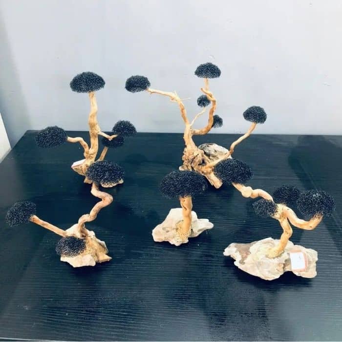 Aquarium bois flotté Arbre Zen (sans mousse)