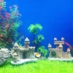 aquarium chateau