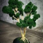 bois-aquarium-decoration