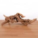 bois flotté aquarium arbre