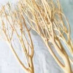 lot racine aquarium arbre