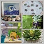 pierre-decoration-aquarium-naturelle-choix