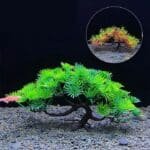 plante artificielle aquarium Bonsaï