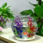 plante-artificielle-realiste-pour-aquarium-rouge-poissons