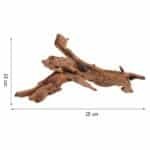 racine-aquarium-Bois-Sauvage-dimensions