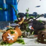 racine-arbre-aquarium-decoration