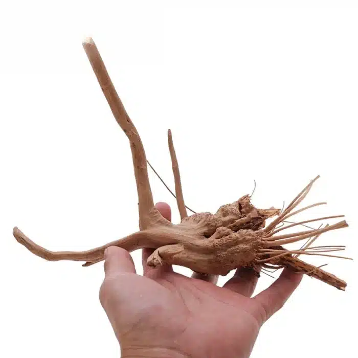 Racines de coucou en bois flotté naturel 2