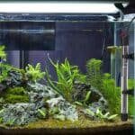 Chauffage-aquarium-200l-Submersible-de-200W