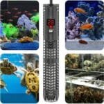Chauffage aquarium submersible poisson
